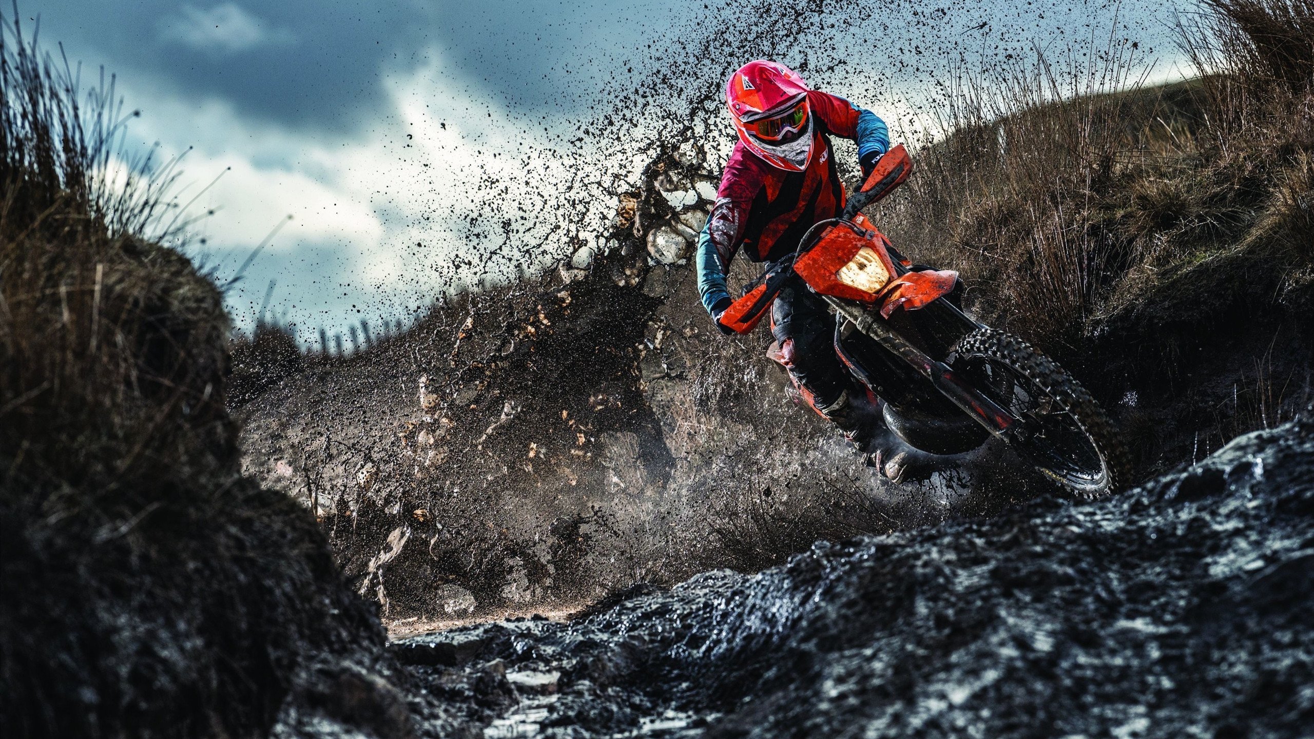 篮球专项体能训练课程体系科学构建，篮球运动专项体能训练的研究